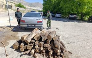 توقیف بیش از ۳ تن چوب و زغال قاچاق در کهگیلویه و بویراحمد توقیف بیش از ۳ تن چوب و زغال قاچاق در کهگیلویه و بویراحمد