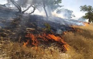 مهار آتشسوزی منطقه حفاظتشده دیل گچساران پس از ۱۳ ساعت تلاش بیوقفه مهار آتشسوزی منطقه حفاظتشده دیل گچساران پس از ۱۳ ساعت تلاش بیوقفه