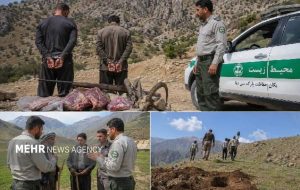 کلنگ و تفنگ در دنا؛ شکارچیان متوقف و عشایر از تخریب منصرف شدند