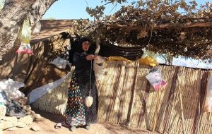 عشایر میان کوچ و بروکراسی؛ قوانین دستوپاگیر بر سر راه زندگی عشایر میان کوچ و بروکراسی؛ قوانین دستوپاگیر بر سر راه زندگی
